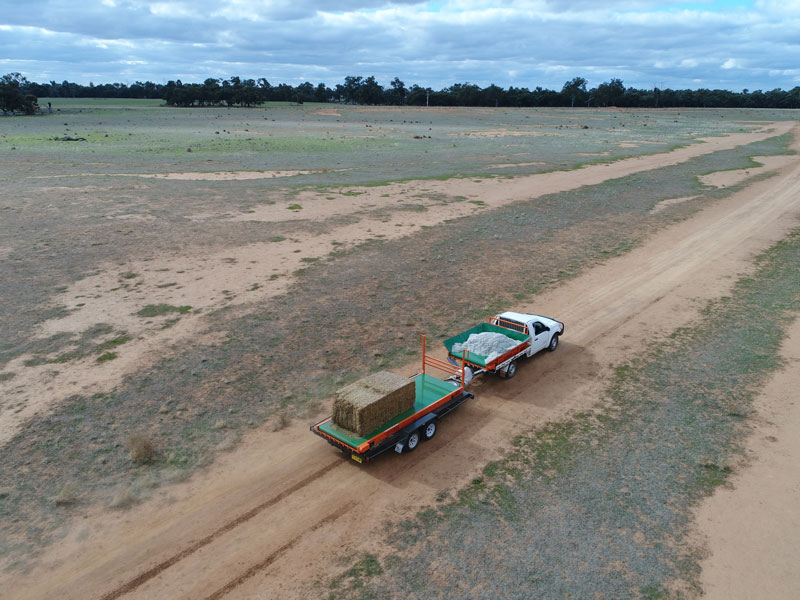 Ute towing a Daniher Bale Feeder trailer along a farm track